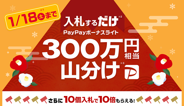 PayPayボーナスライト山分けキャンペーンの画像